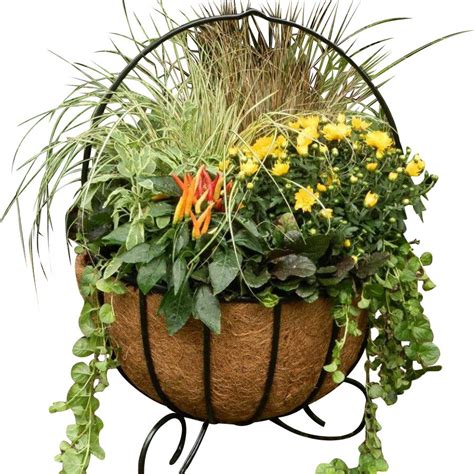 Cauldron Deep Basket Planters With Coco Liners Henderson Garden Supply