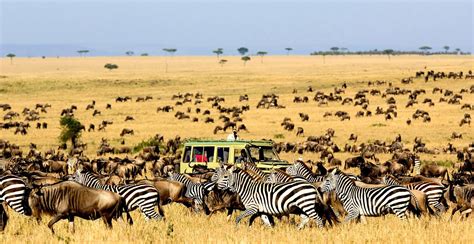 Friends of Africa Family Safaris: Tanzania is Wonderful Destination to ...