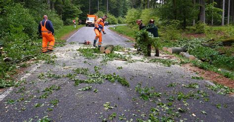 Sturm Bäume umgestürzt Straßen kurzzeitig gesperrt