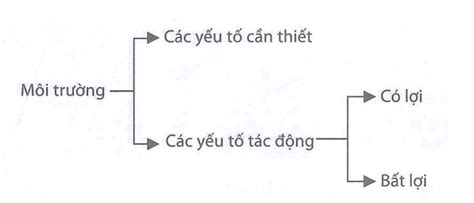 Xác định các thông tin còn thiếu trong Bảng 41 3 Từ đó vẽ sơ đồ mô tả