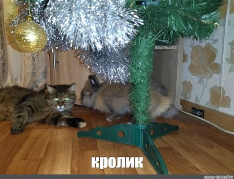 Создать мем "искусственная елка, кот ждет елку, кот домашний ...