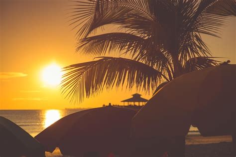 Silueta De Una Palmera Frente Al Mar Contra El Cielo Durante La Puesta