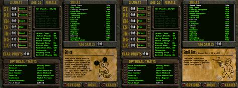 Computer Game History: cRPG Definition & Meaning