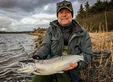 Fiskeguide Seatrout Guide Fyn