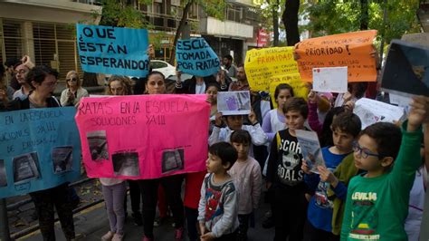 Escuelas Porte As Denuncian La Presencia De Ratas Minuto Argentina