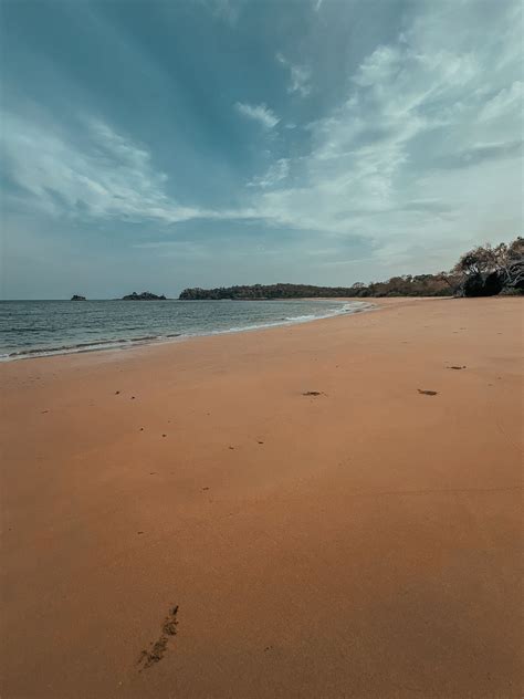 Desert Island Survival