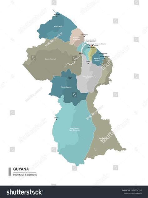 Guyana Detailed Map Subdivisions Administrative Map เวกเตอร์สต็อก