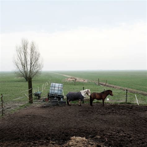 Martin Hierck Portfolio - Martin Hierck