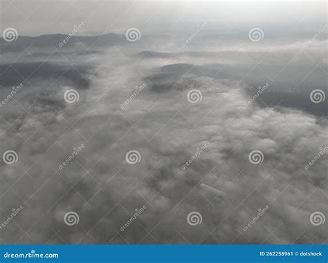 Aerial Drone Footage Of Misty Fog Blowing Over Pine Tree Forest On A