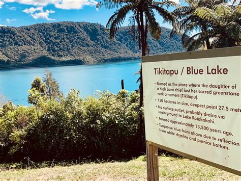 A Visit to the Blue and Green Lakes Rotorua Lookout | Viewpoint + Guide