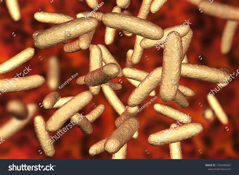 Bacteria Citrobacter Gramnegative Coliform Bacteria Enterobacteriaceae