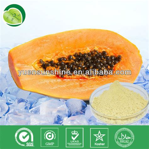 Papaya Papain Papain Enzyme Powder High Quality Papaya Papain Papain