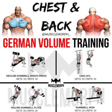 German Volume Training Chest Back Workout Gym Musclemorp German