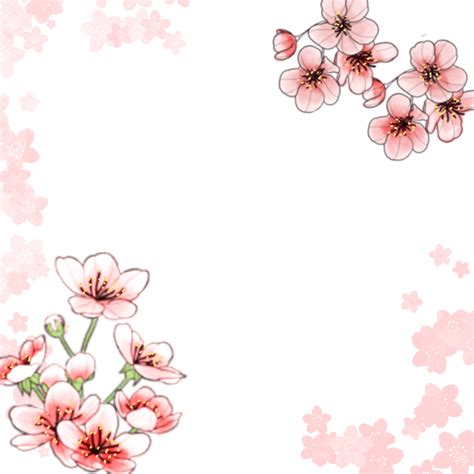 Hermoso Y Fresco Fondo De Flor De Cerezo Png Dibujos Cereza Marco