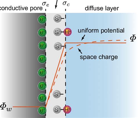 Structure Of The Electrical Double Layer With Electronic And Chemical