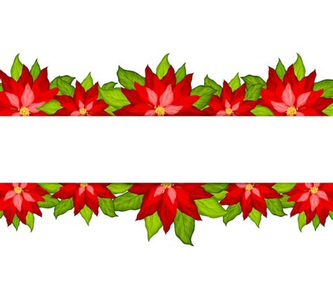 Premium Vector | Christmas background with poinsettia border