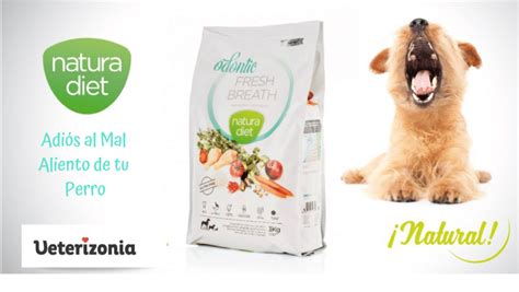 Elimina El Mal Aliento De Tu Perro Con Nuestros Productos