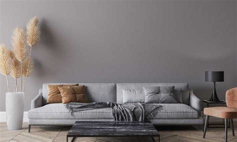 Dark Grey Sofa Living Room Ideas