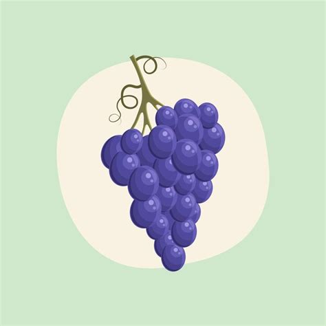 Um monte de uvas maduras e suculentas em uma ilustração vetorial de