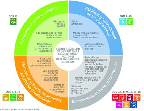 Transformaciones De Los Sistemas Alimentarios Y Objetivos De Desarrollo