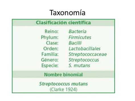 Taxonomía Y Nomenclatura Bacteriana