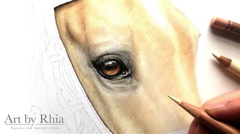 Horse Eye Pencil Drawing