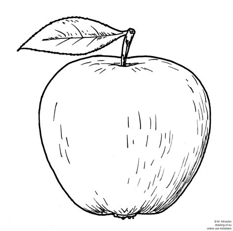 Drawing of apple – Line art illustrations