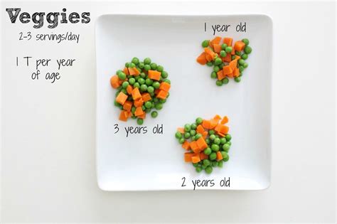 Toddler Serving Sizes Visuals Included Mom To Mom Nutrition