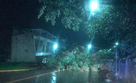 Las Lluvias Provocaron Ca Das De Rboles Y Postes