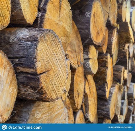 Textura Natural De Madeira Cortada Em Toros Lenha Empilhada E