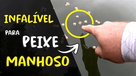 Dica Infal Vel Para Acertar Muitos Peixes Quando Est O Manhosos Na Ceva