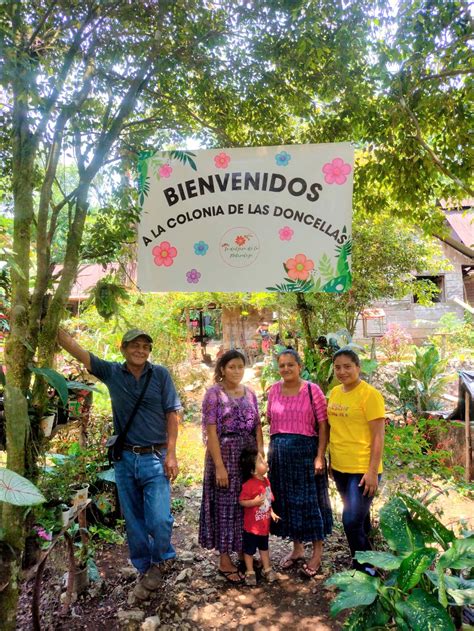 Sin Abejas No Hay Vida Entremundos