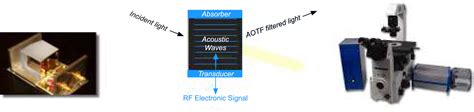 Advanced Photonic Tools For Hyperspectral Imaging In The Life Sciences Spie Homepage Spie