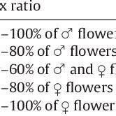Sex Expression Scale In Monoecious Hemp Based On Sengbusch 1952