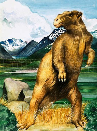 The Megatherium A Land Sloth From South And Central America Stock