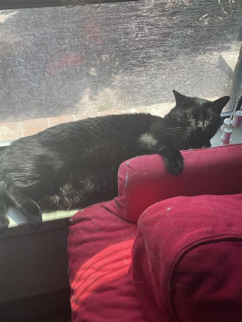 lawd     big guy rchonkers