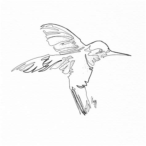 Hummingbird Line Drawing At Getdrawings Free Download