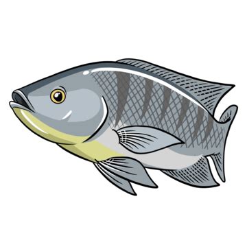 Coloring Fishing PNG Transparent Images Free Download | Vector Files ...