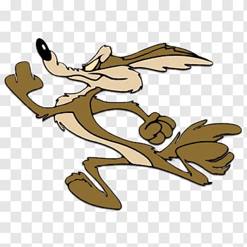 Willie Coyote And Road Runner Illustration Road Runner And Wile E