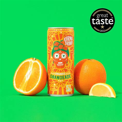 Karma Organic Orangeade 250ml Can The Triangle