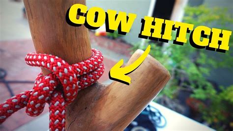 How To Tie A Timber And Cow Hitch Intro To Tree Climbing W Bino H