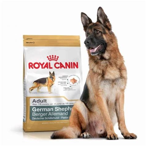 Buy Royal Canin Adult German Shepherd Dry Dog Food 3kg Online Mypetz