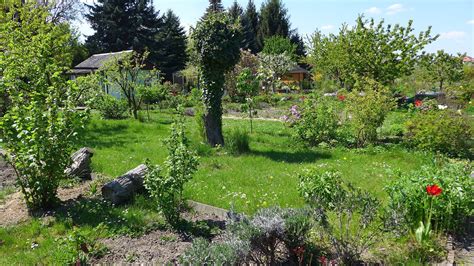 Fruehling Im Garten Pillnitzer Gartenfreunde