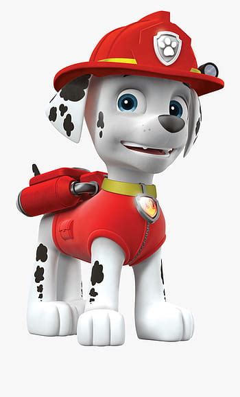 Marshallgallery Paw Patrol Wiki Fandom Paw Patrol Cartoon Marshall