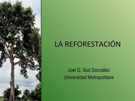 Importancia De La Reforestación Para El Medio Ambiente Ppt