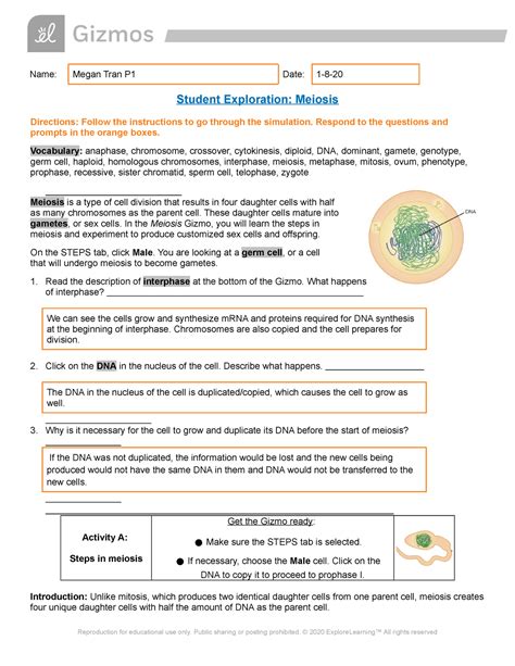 Meiosis Gizmos Name Megan Tran P1 Date 1 8 Student Exploration