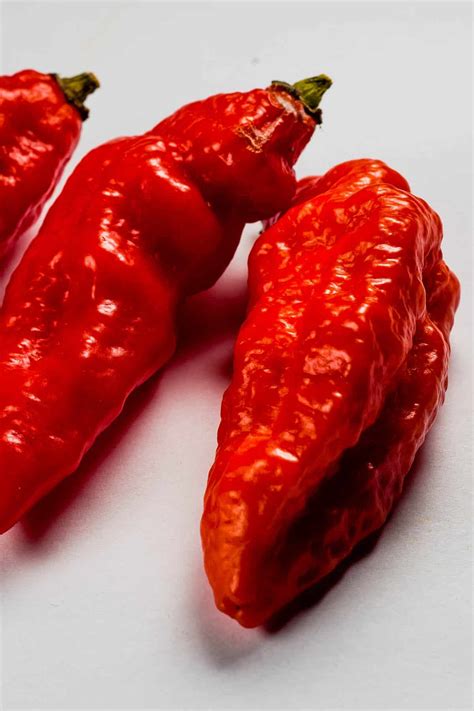 Chili Pepper Types - A List of Chili Peppers and their Heat Levels ...