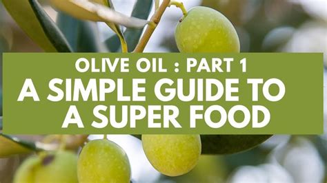 Olives Growing On An Olive Tree With The Words Olive Oil Part 1 A