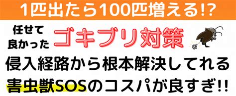 家に出るゴキブリ対策の記事 東京・神奈川・千葉・埼玉のゴキブリ駆除・対策のプロ集団｜害虫獣sos