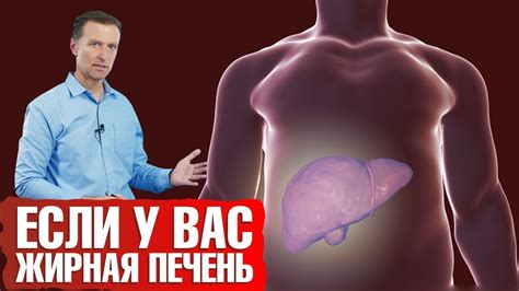 Ожирение печени = ожирение внутренних органов⭕️ - YouTube